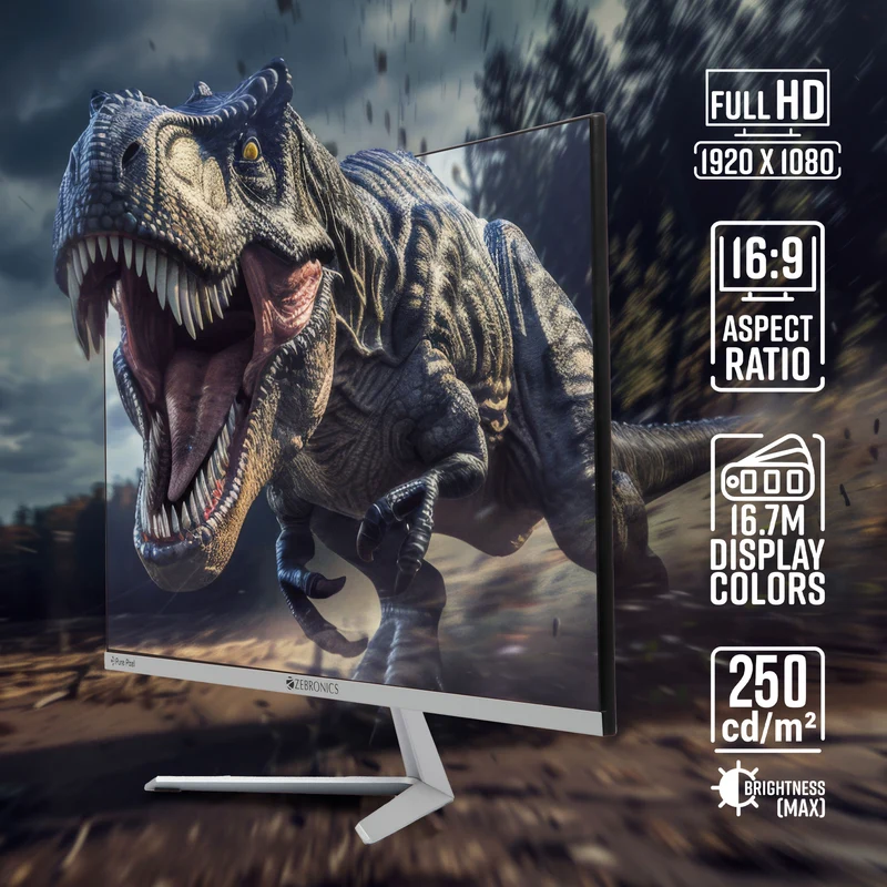 Zebronics A24FHD 24 Inch LED 100hz Monitor
